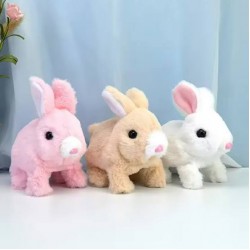 ارنب فرو