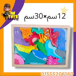 بازل خشب مجموعة