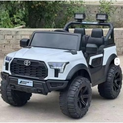 عربية شحن 6007