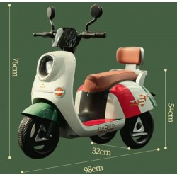 فيسبا شحن 316